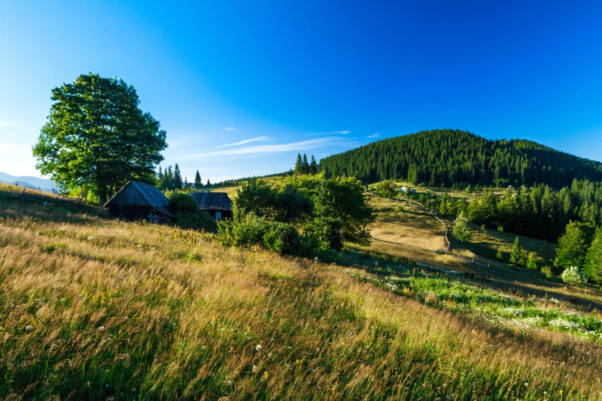Klimatyzacja Pruszków i Okolice - Inwestycja w Komfort i Środowisko